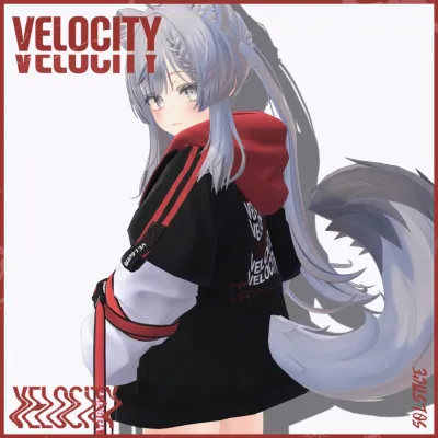 VELOCITY