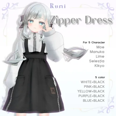 Zipper Dress