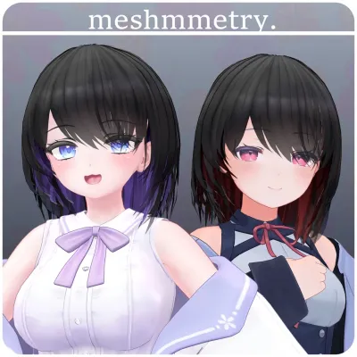 Meshmmetry