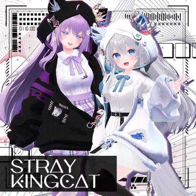 ストレイキングキャット #strayKingCat