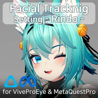 FacialTracking Setting for Rindo