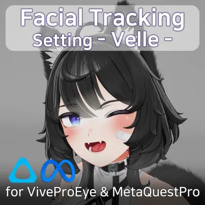 Velle(ヴェール)'s FacialTracking Setting