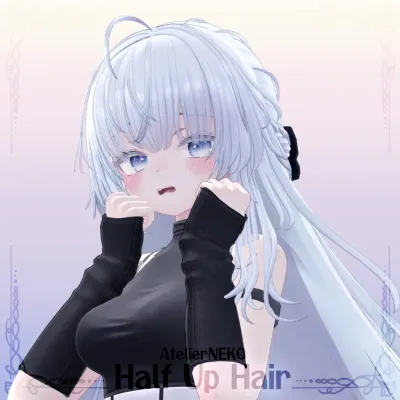 HalfUpHair v1.03