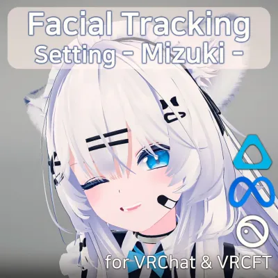 Mizuki FT Setting