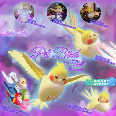 Pet Bird ～Tiel～